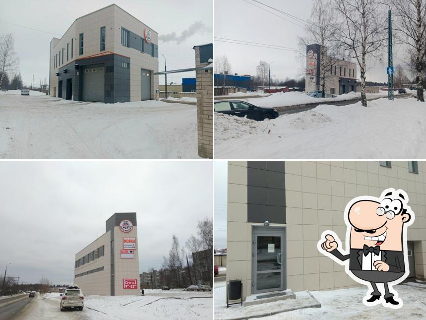 Енот Полоскун