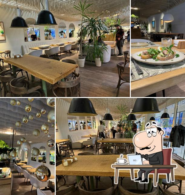 Базиллион Кафе Брест