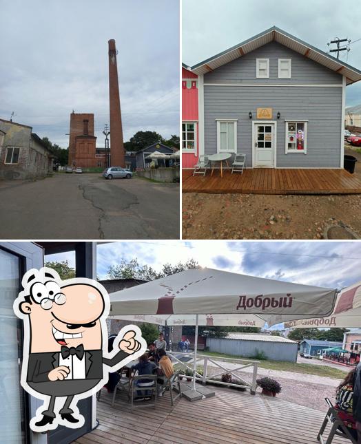 Выборгское пиво