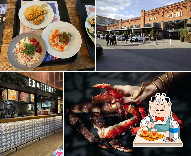 Ёж и Устрица