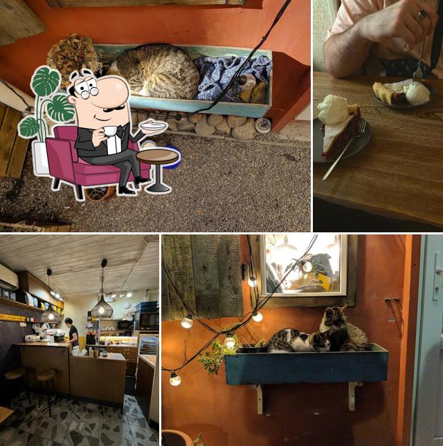 Забронируйте столик в "Микрокофейне ТЧК"