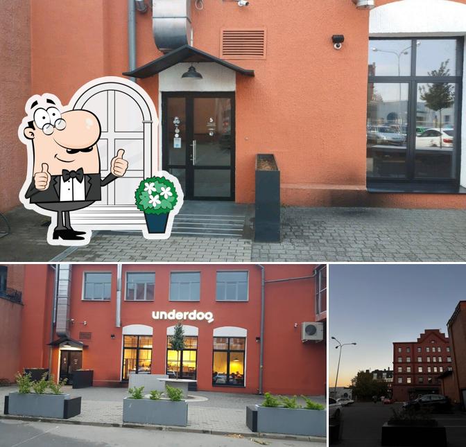 Внешнее оформление "Pizza"