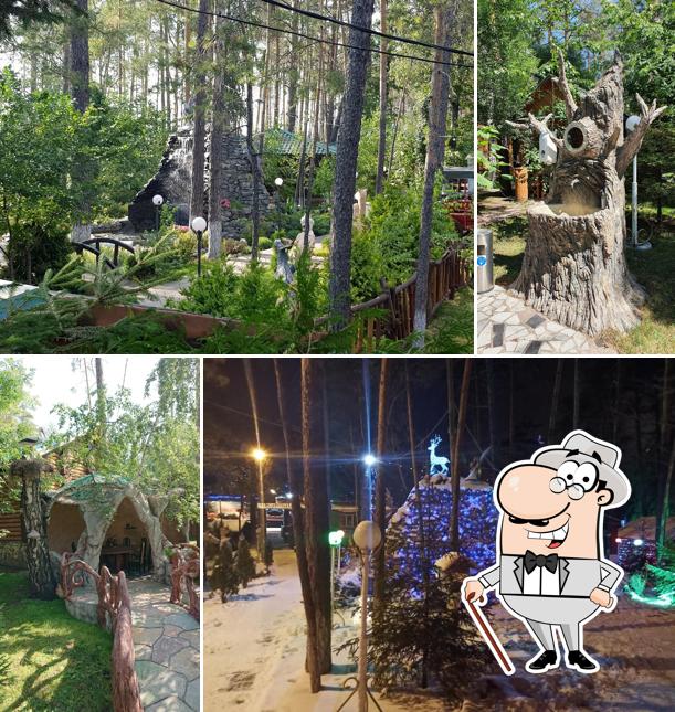 Посмотрите, как "Три медведя" выглядит снаружи