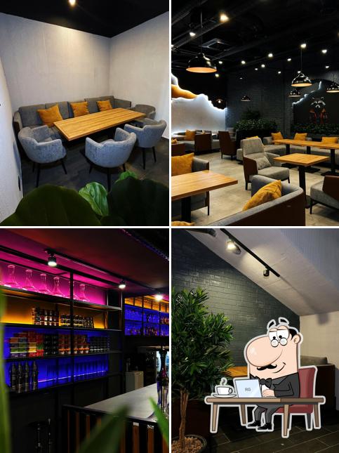 Интерьер "Енот"