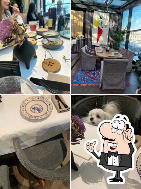 Интерьер "Шави Ломи"