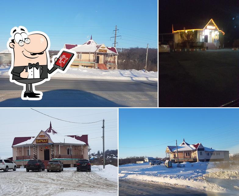 Бархат