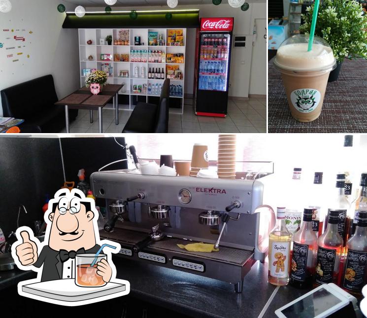 Бодрая сова