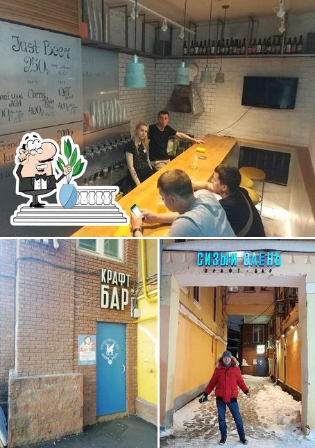 Внешнее оформление "Сизого Оленя"