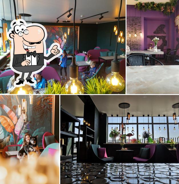 Кофейная коза