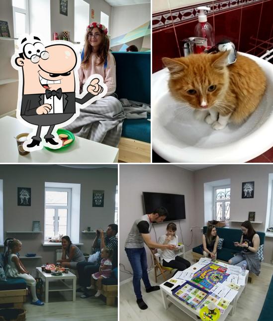 Внутреннее оформление и напитки - все это можно увидеть на этом фото из Котокафе МАО