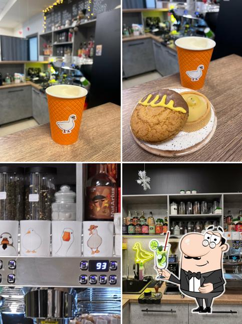 Гусь кофейный