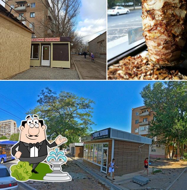 Академия шаурмы