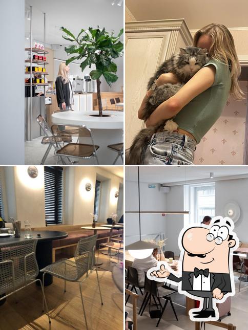 Посмотрите на внутренний интерьер "Civil"