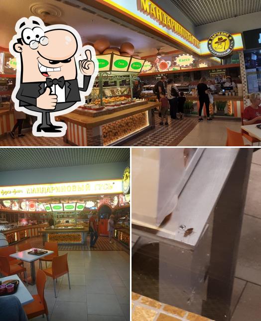 Мандариновый Гусь