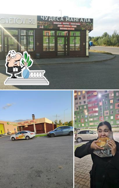 Чудеса Мангала