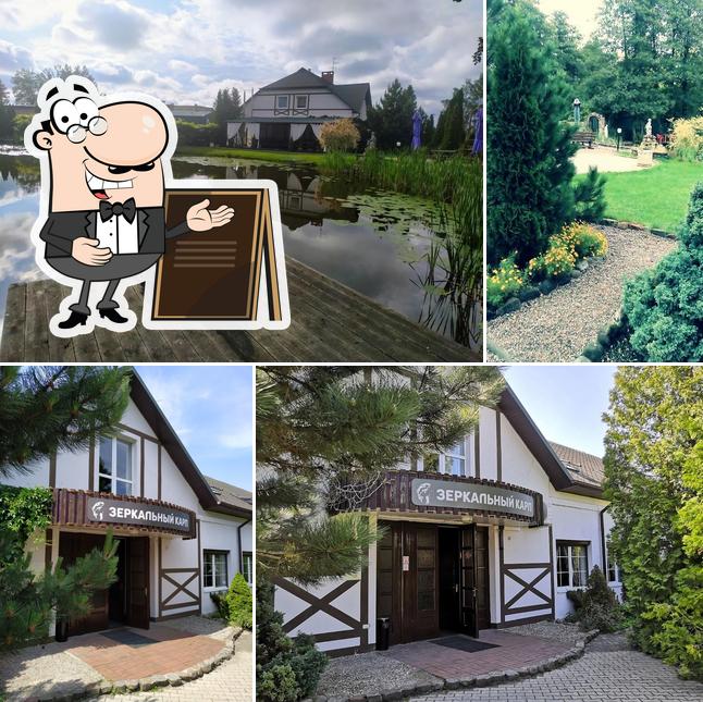 Зеркальный карп