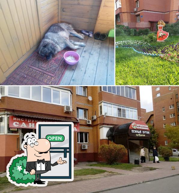 Внешнее оформление "Суши Wok"