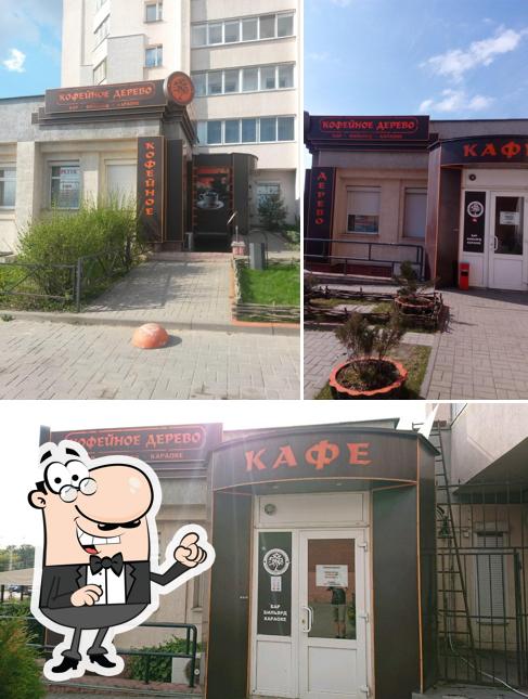 Внешнее оформление "Кофейное дерево"