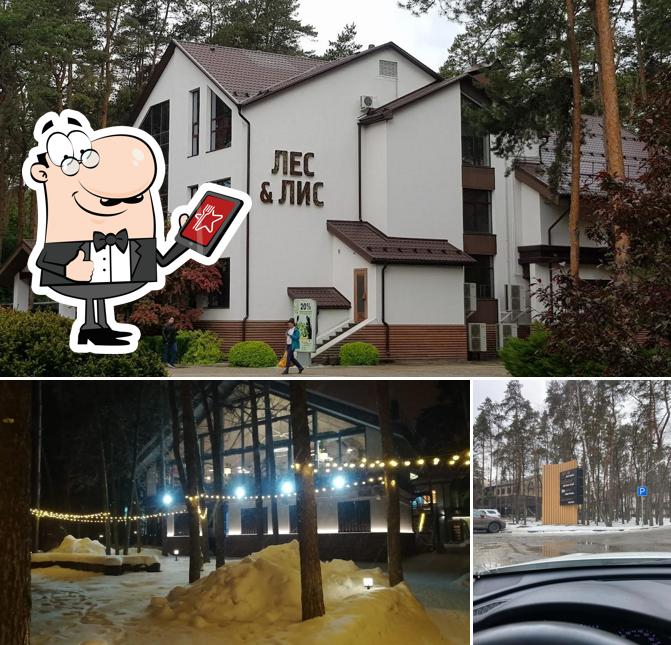 Взгляните на внешний вид "Леса & лис"