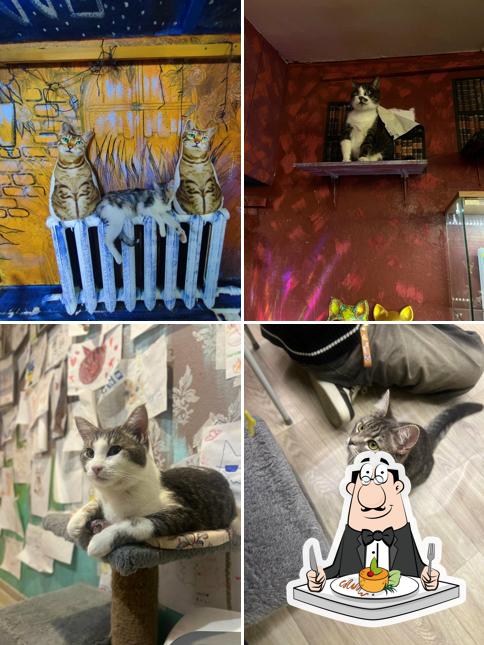 Музей Кота