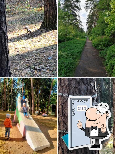 Парк культуры и отдыха