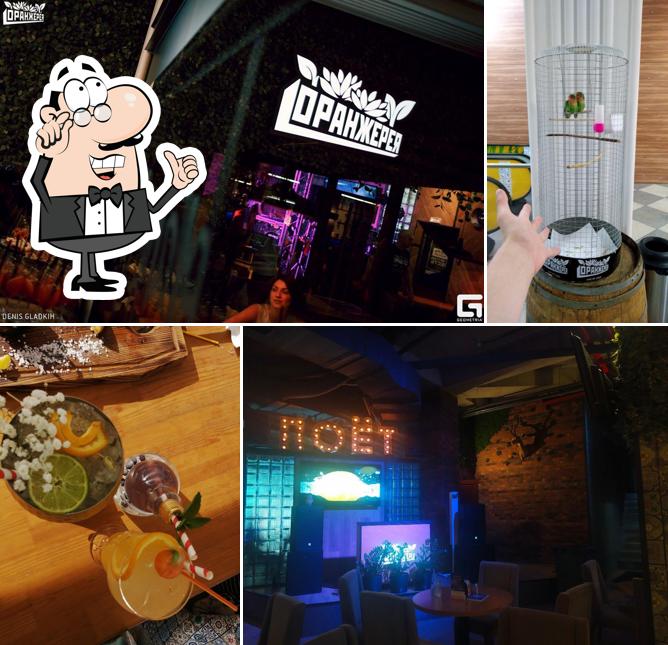 Интерьер "Оранжереи ПОЁТ"