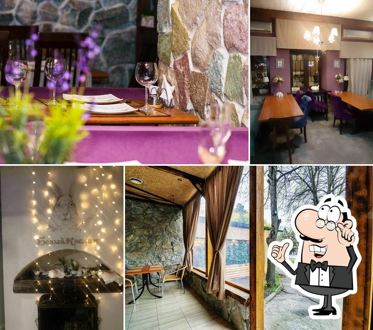 Белый кролик