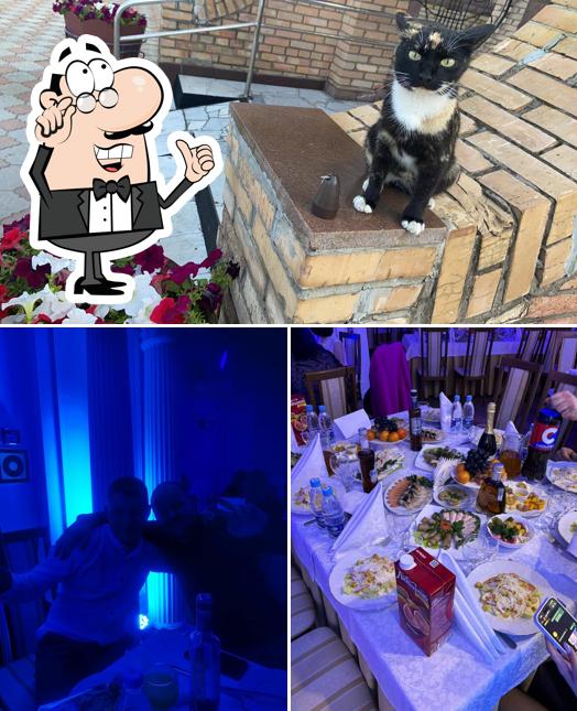 Помимо прочего, в Кама есть внутреннее оформление и еда