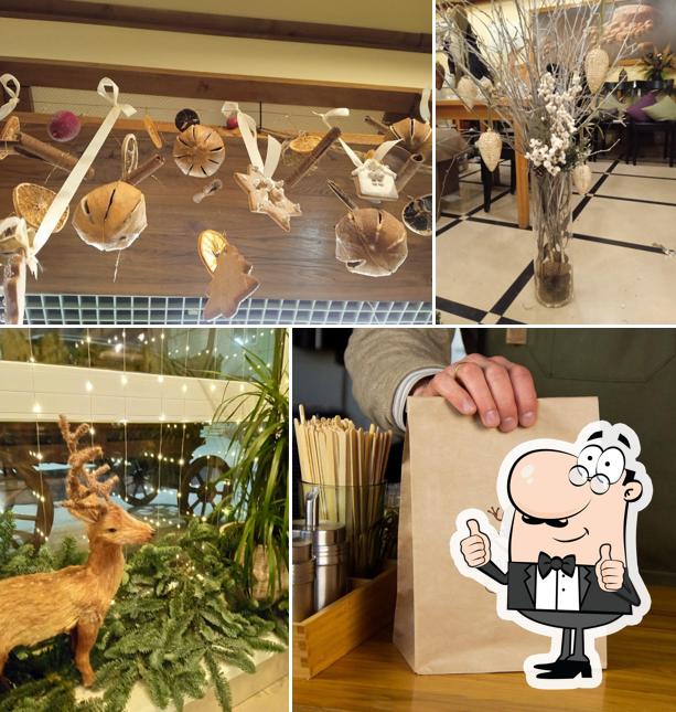 Саламандра