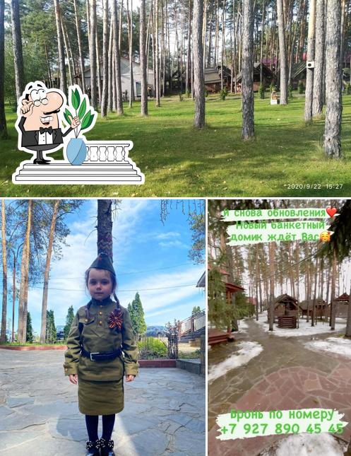 Посмотрите, как "Базилик" выглядит снаружи