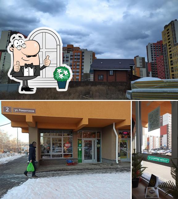 Внешнее оформление "Coffee Molly"