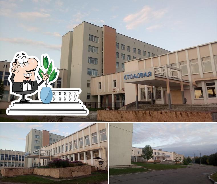 столовая от ВГУ им П.М. Машерова