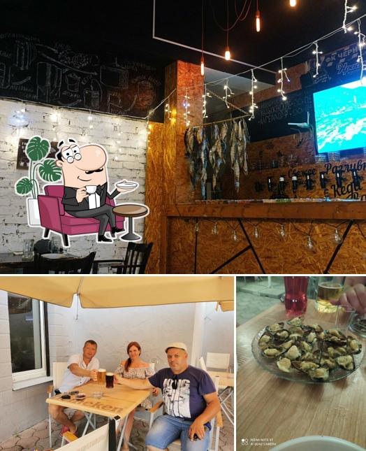 Посмотрите на этот снимок, где видны внутреннее оформление и seo_images_cat_67 в Kega