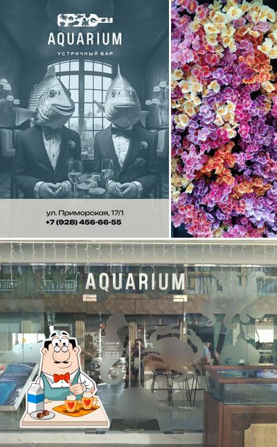 Aquarium Устричный