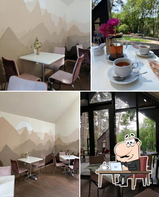 Интерьер "Тропа"