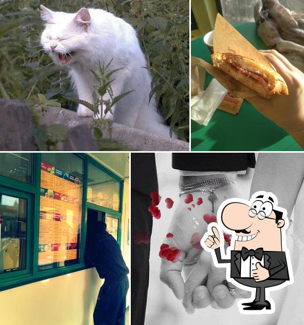 Подорожник