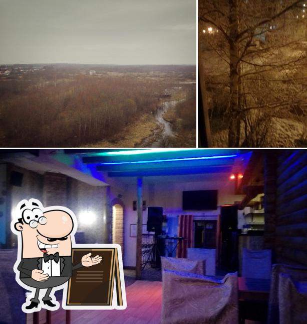 Бурый медведь