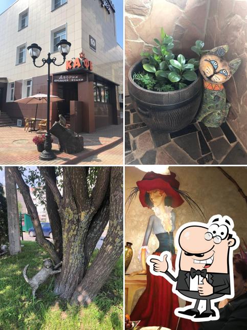 Дворик бродячей кошки