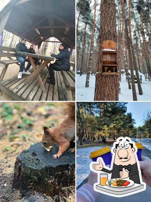 Еда в "Пикнике Парке (Соломино)"