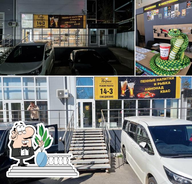 Свой Пивной