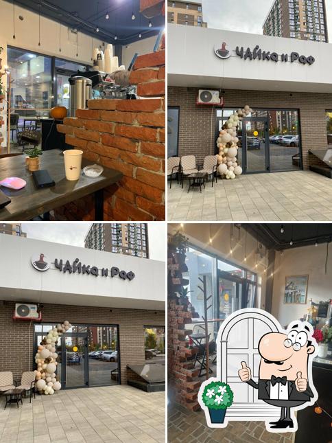 Чайка и раф