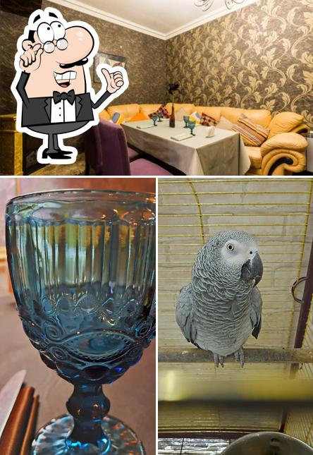 Интерьер "Колхи"