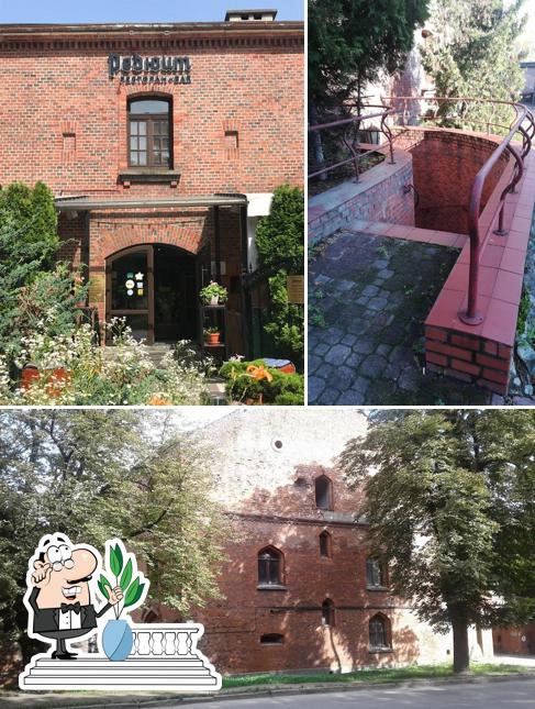 Внешнее оформление "Редюита"