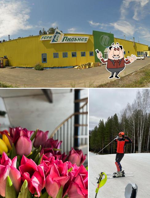 Гора Пильная