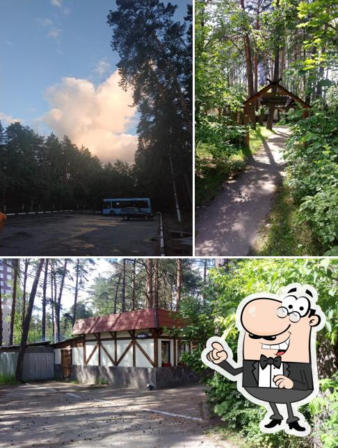 старая мельница