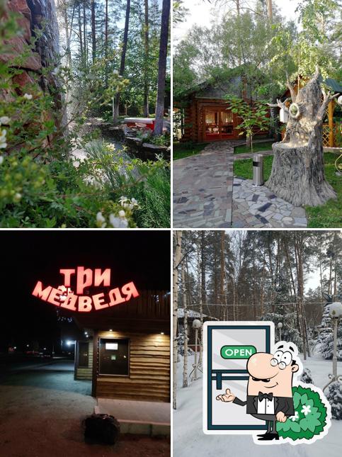 Внешний вид - важная особенность "Три медведя"