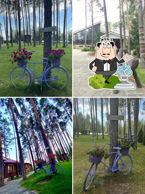 Внешнее оформление "Базилика"