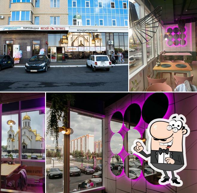 Тортляндия