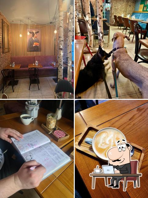 Посмотрите на внутренний интерьер "Кукуха"