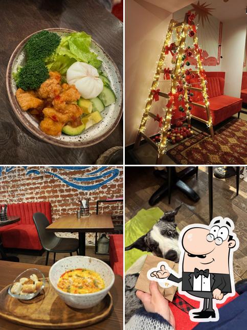 Ланчи Бранчи